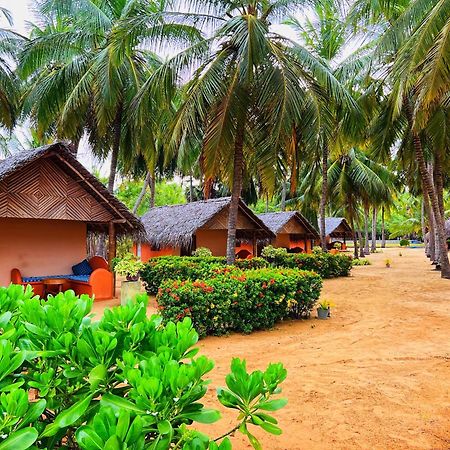 Roshanne Beach Resort 칼피티야 외부 사진