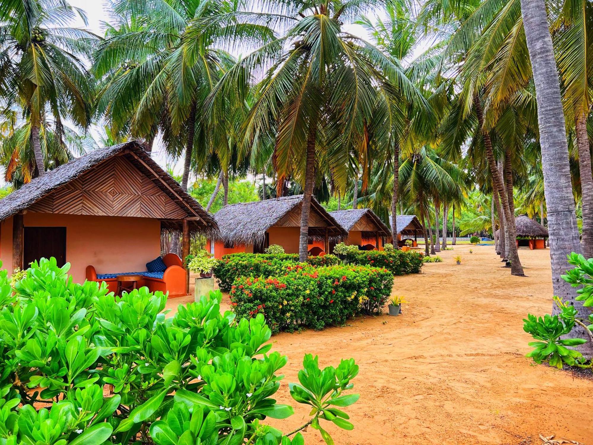 Roshanne Beach Resort 칼피티야 외부 사진