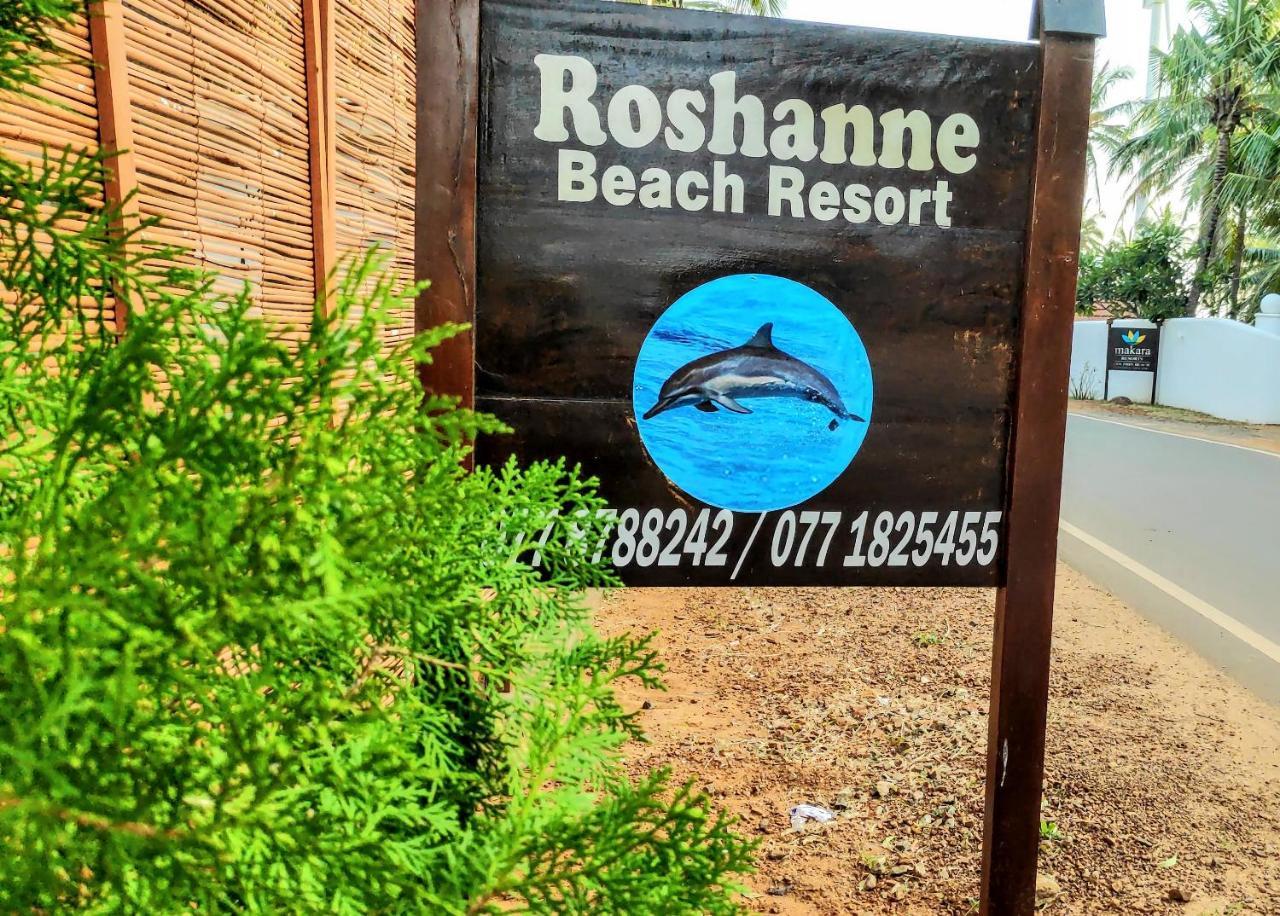 Roshanne Beach Resort 칼피티야 외부 사진