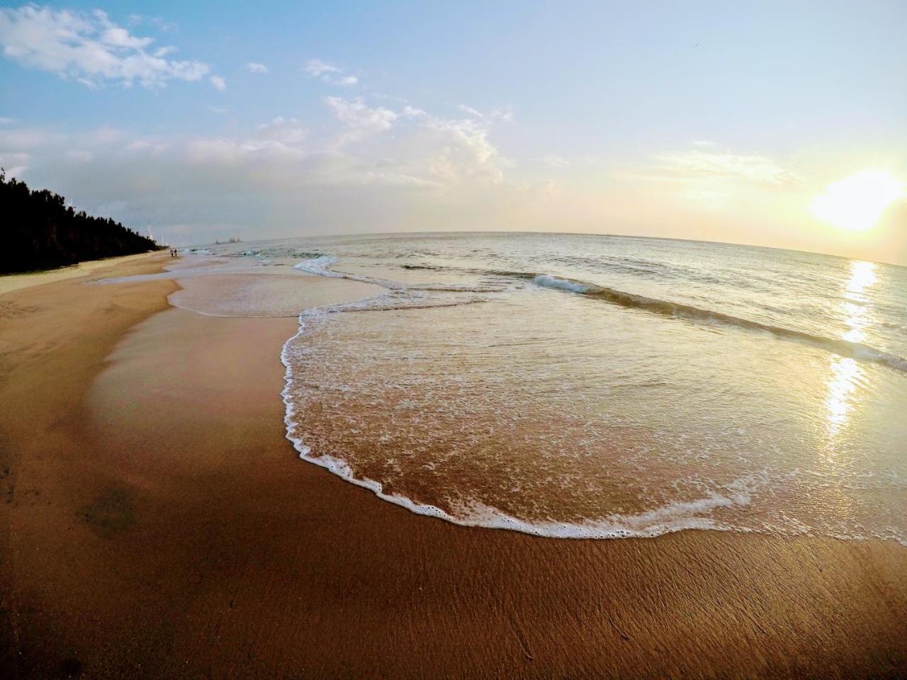 Roshanne Beach Resort 칼피티야 외부 사진